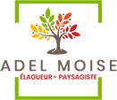 Adel Moise